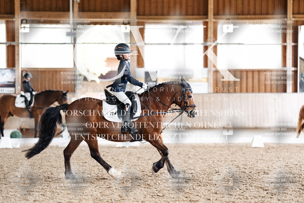 CK900735 | Turnierfotografie Pferdefotografie Trier Rheinland-Pfalz Pferdesport Reitsport Tierfotografie Sportfotografie Pferdevideo Pferdevideografie Equestrianvideography equestrianphotography  - Realisiert mit Pictrs.com
