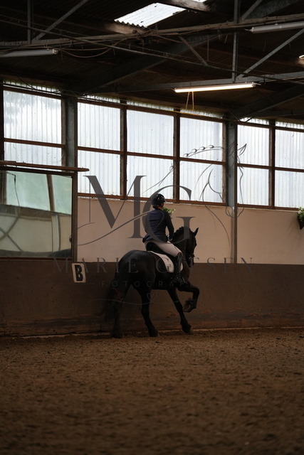 DSC06265 | Pferdefotografie in Köln und Umgebung – emotionale Pferdeshootings, Turnierfotografie und besondere Momente zwischen Pferd und Mensch. - Realisiert mit Pictrs.com