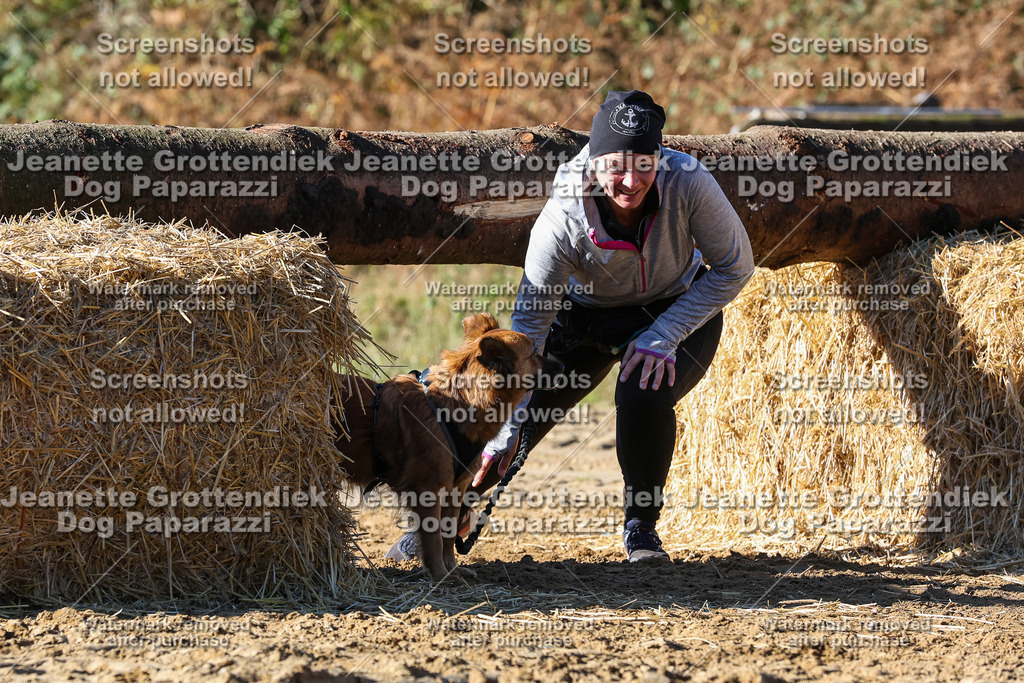 Dog Paparazzi - Strongdog 10-25-2278 | Dog Paparazzi Jeanette Grottendiek Fotografie & Videografie - Realisiert mit Pictrs.com