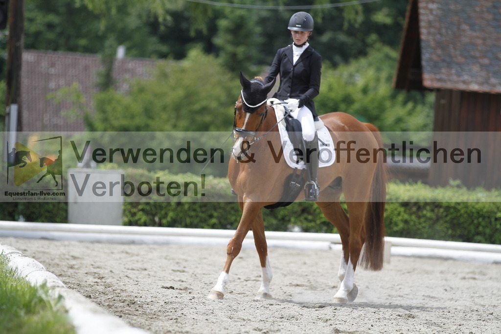 _MG_9176 | equestrian-live-com