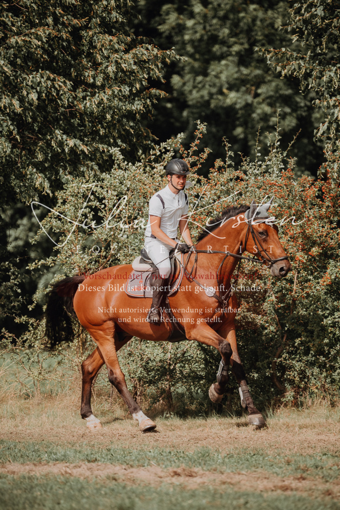 DSC_1013 | Pferde- und Turnierfotografie in Westsachsen. Pferdeportraits, Auftragszeichnungen und intuitive Kunst.