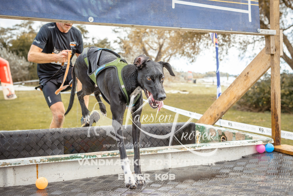 1348_ZZ92235-2 | kk-dogfotos