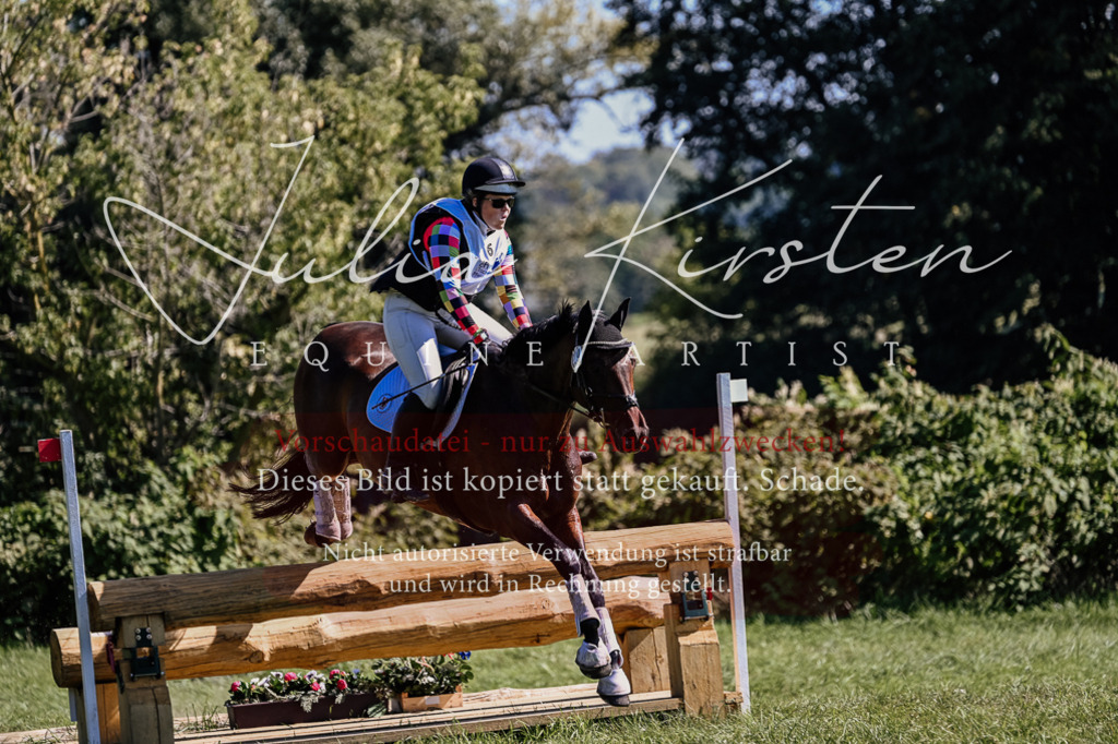 DSC_1582 | Pferde- und Turnierfotografie in Westsachsen. Pferdeportraits, Auftragszeichnungen und intuitive Kunst.