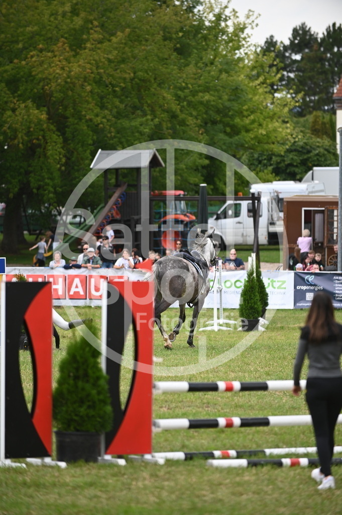 DSC_2345 | sattelsport - Realisiert mit Pictrs.com