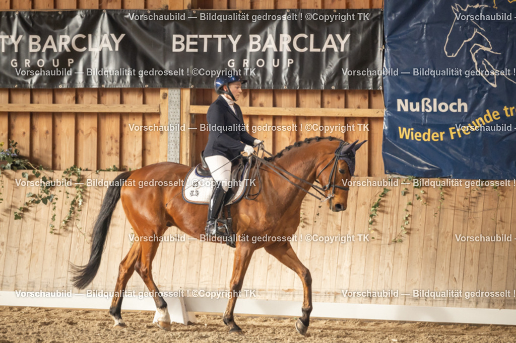 _D5A3230 | Emotionale Pferde- & People-Fotografie rund um Heidelberg, Leimen & Umgebung. Natürliche Fotos von Pferd, Mensch & Familie. Jetzt Termin sichern!