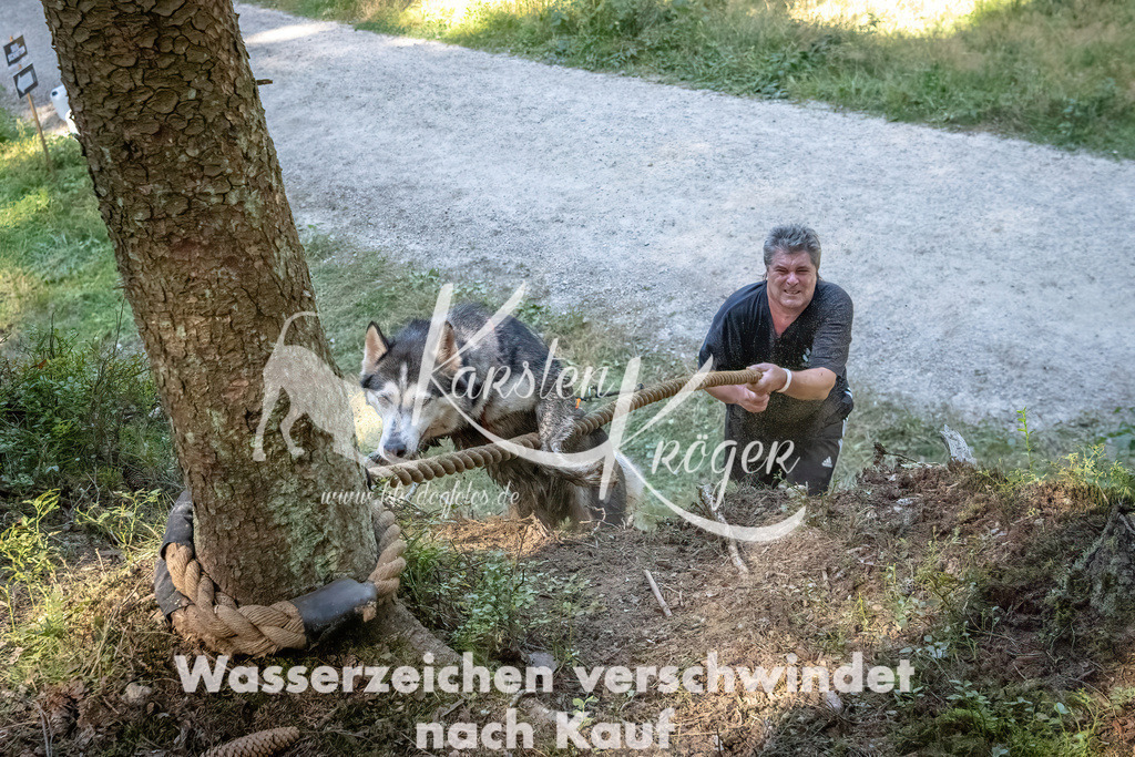 1139_ZZ91252 | kk-dogfotos