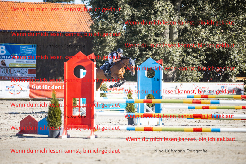 BK1A7394 | Turnierbilder Turnierfotos Nina Hüffmann Turnierfotografie Pferdefotografie Tierzeichnung Haustierzeichnung Pferdezeichnung Hundezeichnung Videograf  - Realisiert mit Pictrs.com