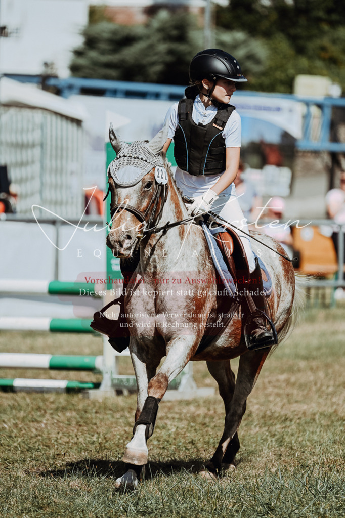 DSC_9749 | Pferde- und Turnierfotografie in Westsachsen. Pferdeportraits, Auftragszeichnungen und intuitive Kunst.