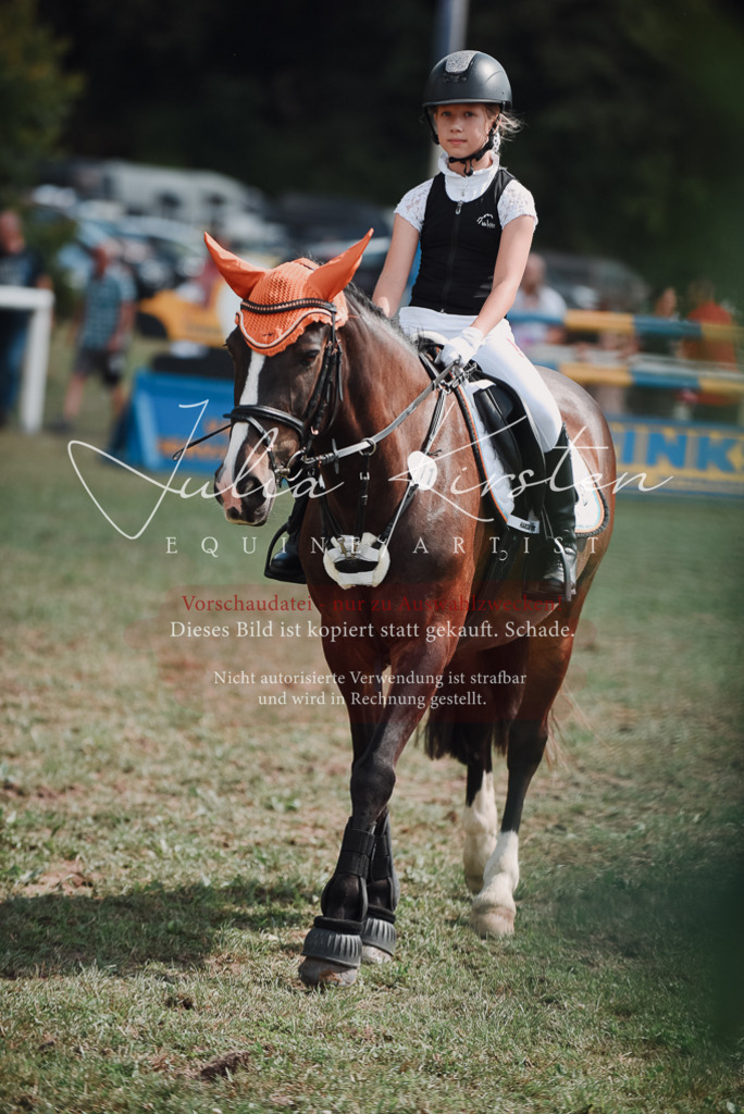 DSC_5663 | Pferde- und Turnierfotografie in Westsachsen. Pferdeportraits, Auftragszeichnungen und intuitive Kunst.