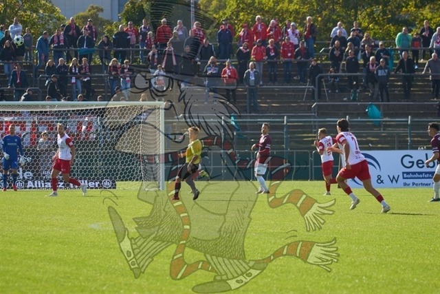 BFC Dynamo vs. FSV Zwickau 023 | mythos-online-redaktion