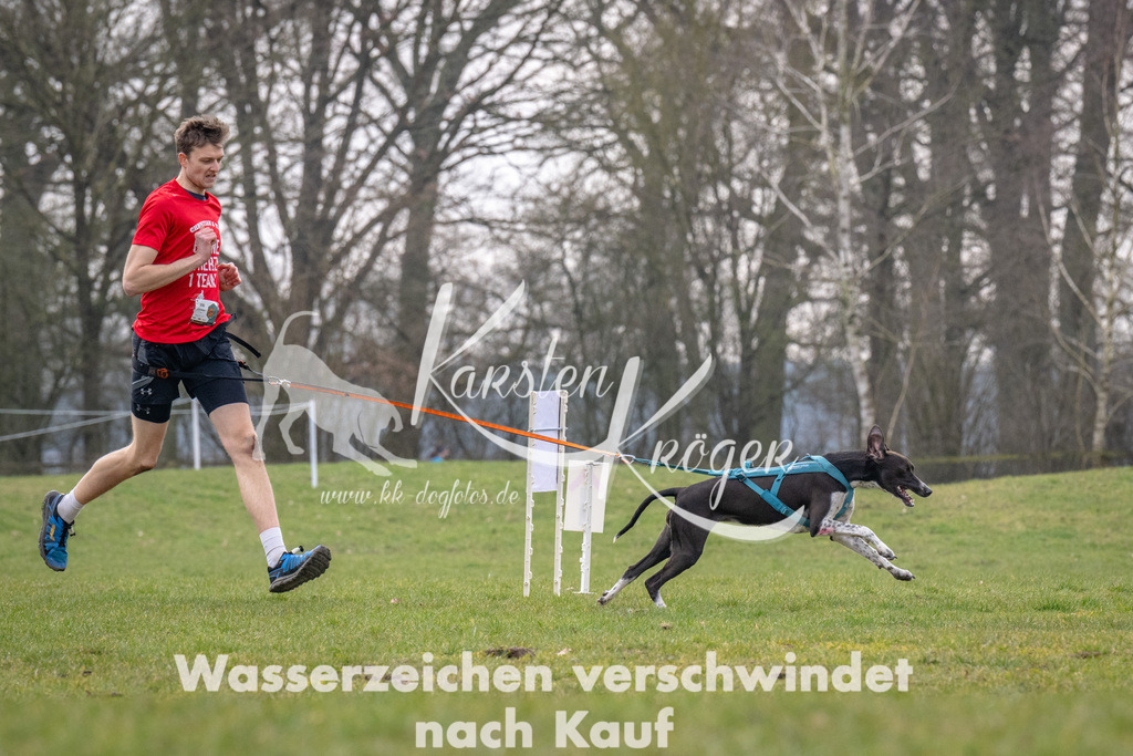 _ZZ92075 | kk-dogfotos