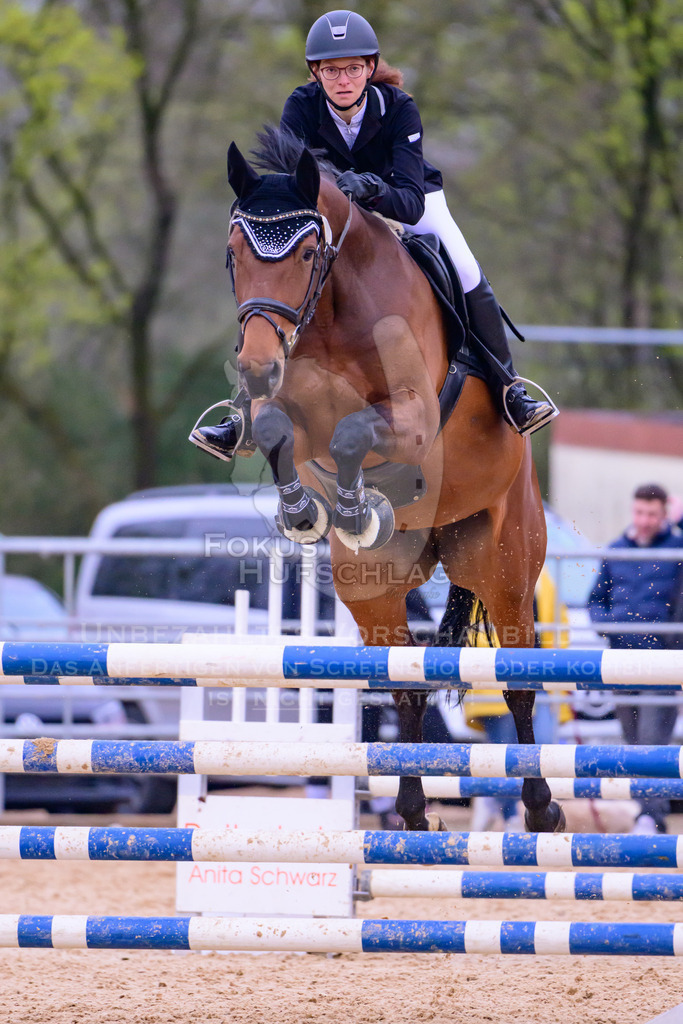 10042026-Mammendorf-Prfg19-0583 | Fokus Hufschlag Fotografie - Realisiert mit Pictrs.com