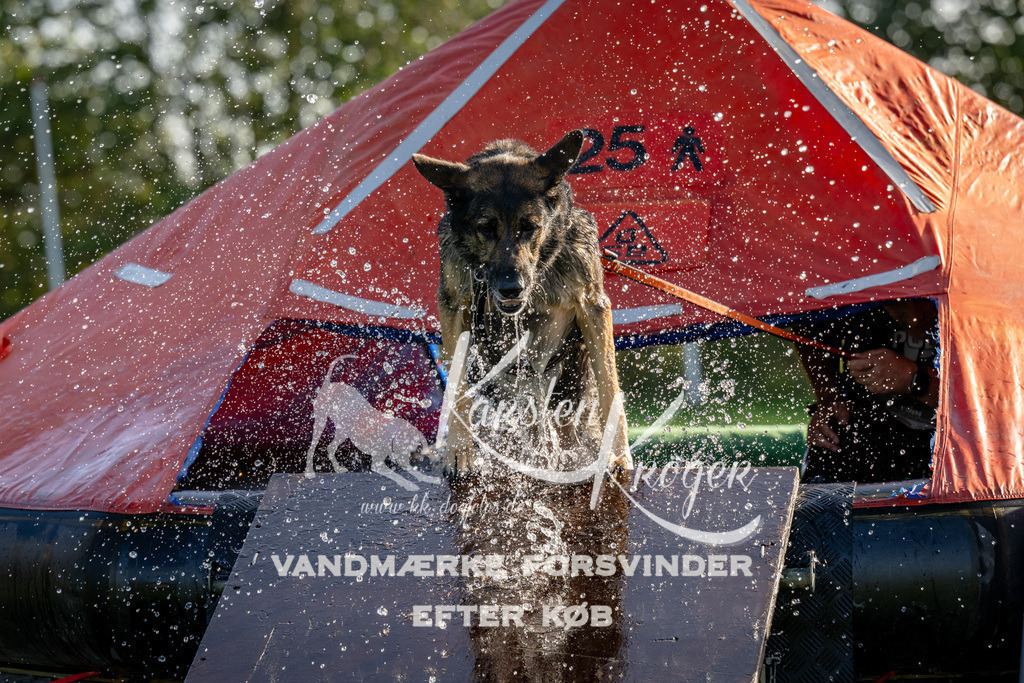 1107-91769 | kk-dogfotos