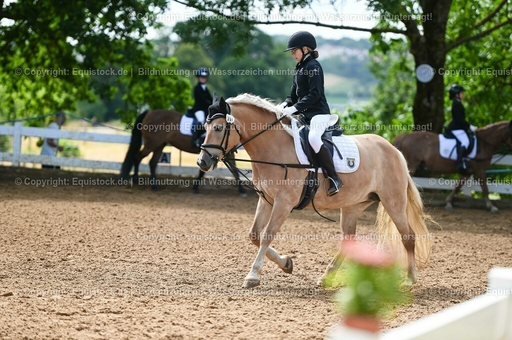 20230716_10-3_Reiter-WB Schritt - Trab - Galopp_0099 | equistock