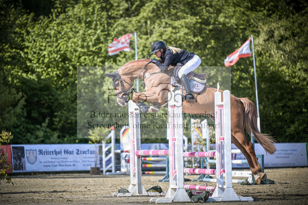 DOS_8982 | Entdecke hochwertige Reitturnierfotos von Foto Oger. Professionell, emotional und authentisch – jetzt Lieblingsmomente im Shop bestellen.Deutschlandweite Turnierfotografie. - Realisiert mit Pictrs.com