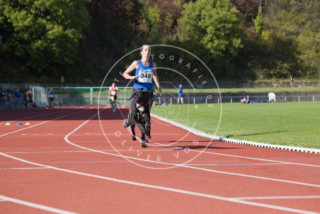 0L8A9658 | Hundefotografie, Tierfotograf, Pfotenfotografie, Fotoshooting Hund, Hunde Portrait, Hundesport, Hundeportraits, Heideshooting, Hunde, Sportfotograf, Hundefotograf, Turnierhundsport, THS,  - Realisiert mit Pictrs.com