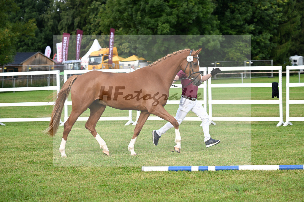 Kat-Nr. 6 Electric Fire v. Zinedream_Bauer_30250079 | hf-fotografie - Realisiert mit Pictrs.com