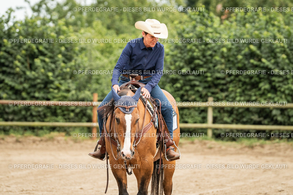 DSC05054 | Pferdegrafie