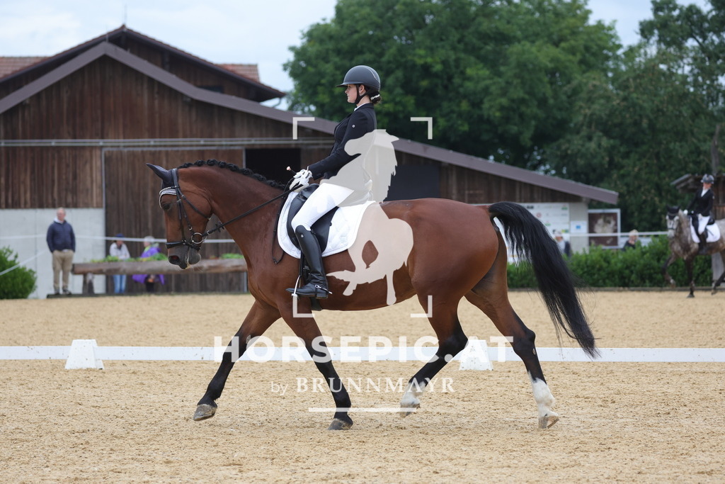 0P6A1372 | Willkommen bei Brunnmayr - Design & Fotografie – Ihrem Spezialisten für Reitturniere und Pferdeveranstaltungen in Oberösterreich, Salzburg und Bayern! Seit über 17 Jahren sind wir leidenschaftlich dabei.
