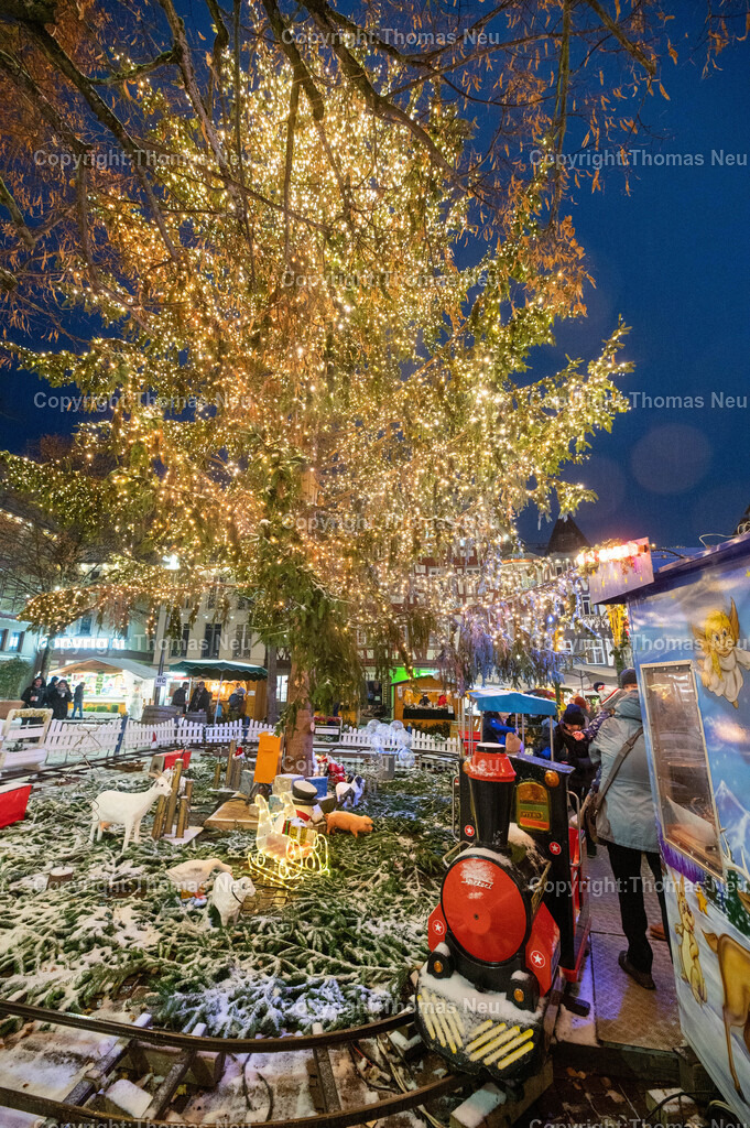 DSC_3254 | Blick auf den Weihnachtsmarkt in Bensheim, die Riesentanne schmückt den Marktplatz