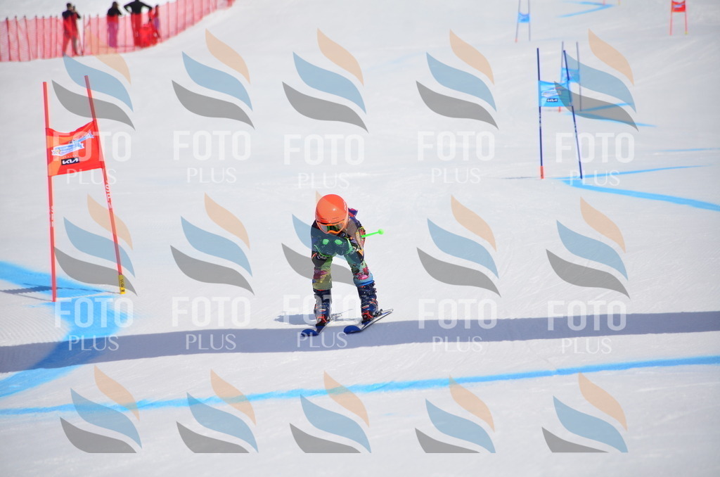 VR4_6603 | holidayphoto