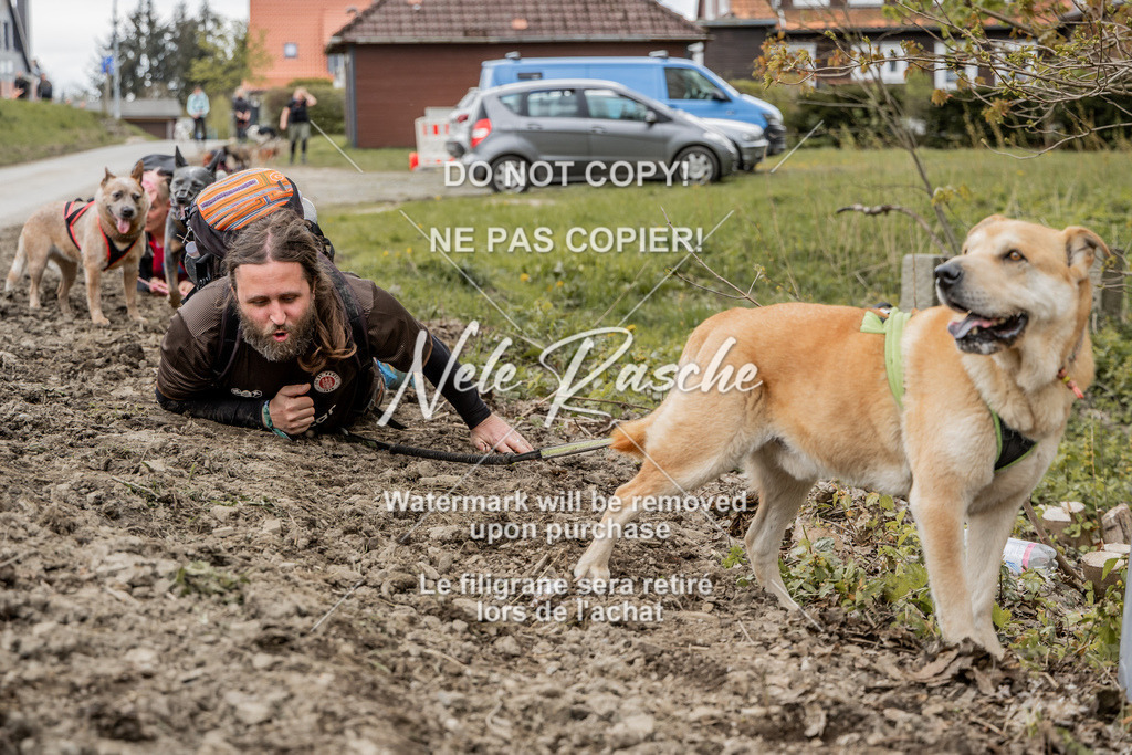 NR__2789 | nelerasche