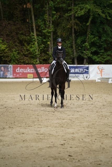 VAN01152 | Marie Giesen Fotografie - Realisiert mit Pictrs.com