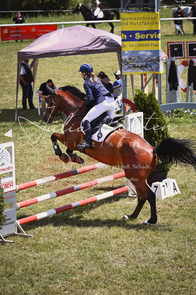 DSC_9639 | Pferde- und Turnierfotografie in Westsachsen. Pferdeportraits, Auftragszeichnungen und intuitive Kunst.