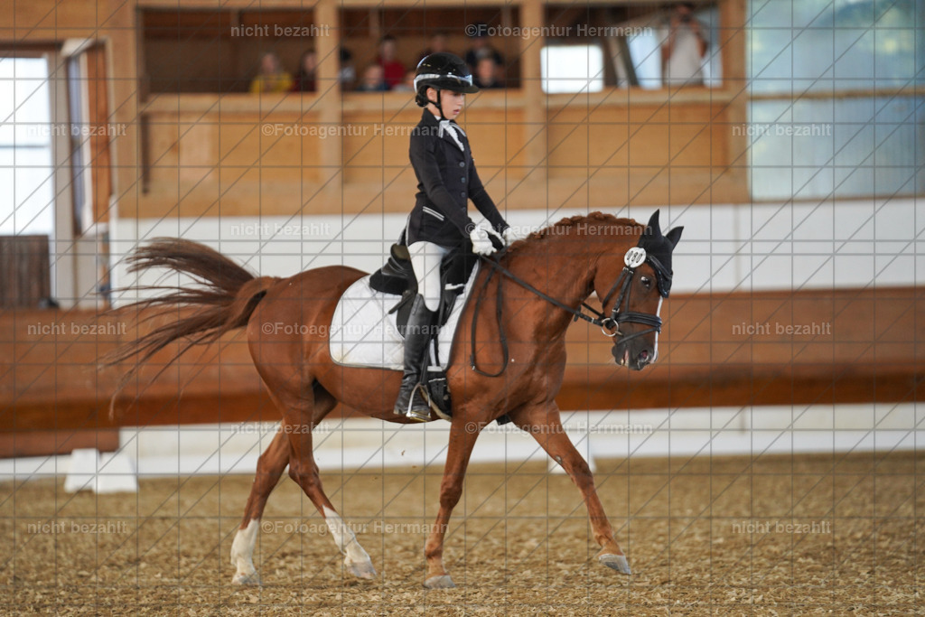 20240824-FAH07214 | Thierhaupten 2024, Bayerisches Landesponyturnier, Turnierbilder, Ponybilder, Turnierfotografen Bayern, Fotoagentur Herrmann
