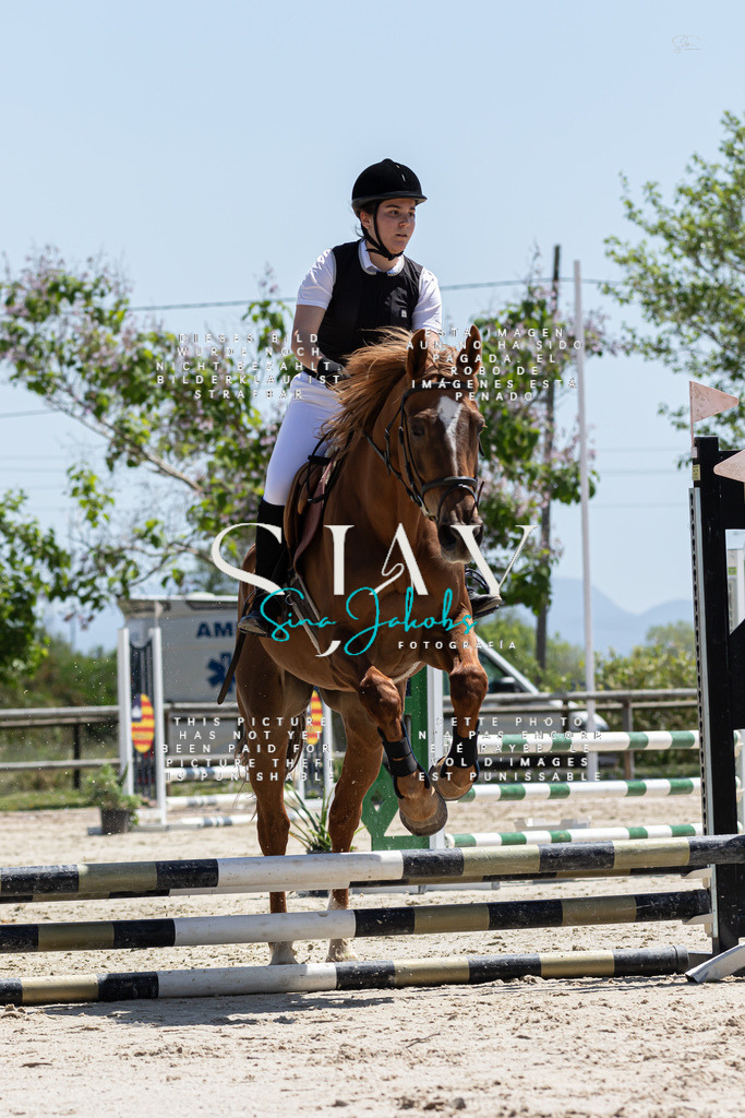 IMG_0280 | s-jay-photography - Realisiert mit Pictrs.com