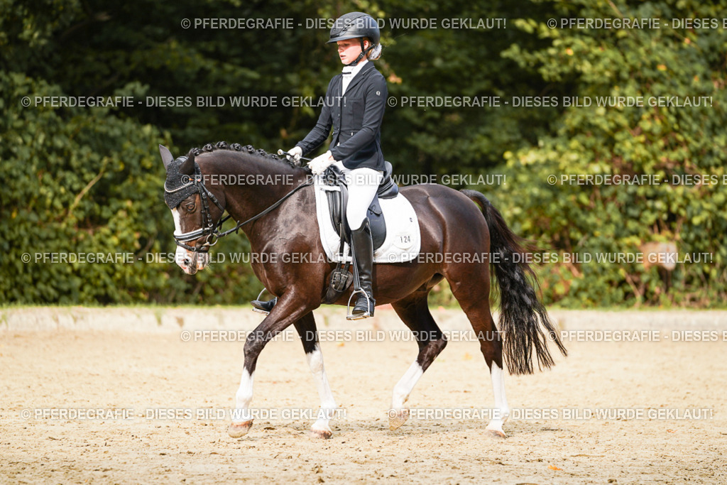 DSC03678 | Pferdegrafie