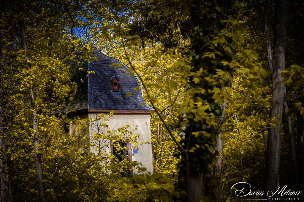 Kloster Eberbach in Eltville im Rheingau | Das Kloster Eberbach in Eltville im Rheingau