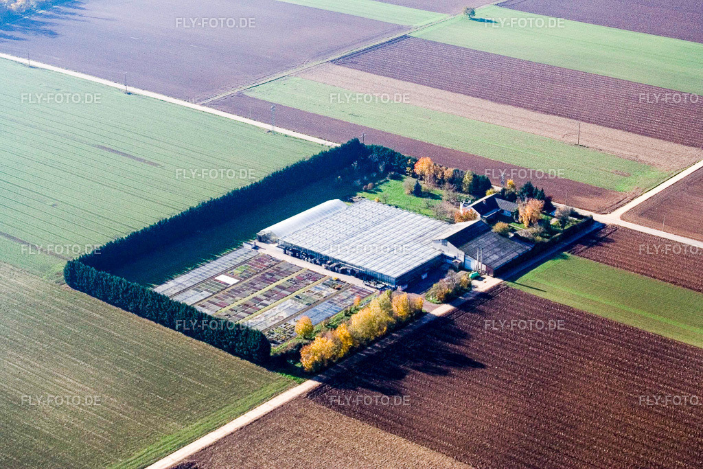 Sudetenhof | Luftbild: Sudetenhof in Steinweiler im Bundesland Rheinland-Pfalz in Deutschland. Foto: IMG_4649.jpg vom 16.11.2006 durch Werner Riehm/FLY-FOTO.de - Realisiert mit Pictrs.com