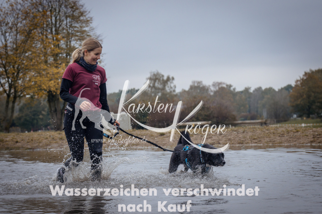 1211_ZZ98597 | kk-dogfotos