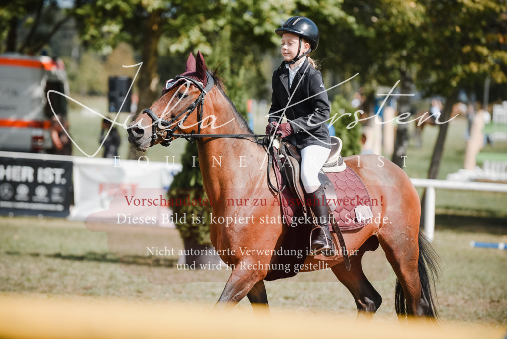 DSC_5408 | Pferde- und Turnierfotografie in Westsachsen. Pferdeportraits, Auftragszeichnungen und intuitive Kunst.