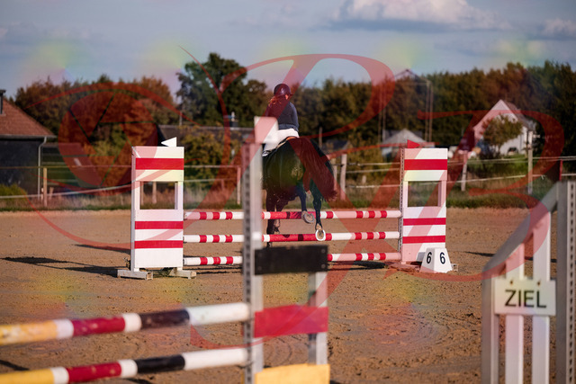2026_10_03_Siefer-Hof_171553_Z81_13698993 | Professionelle Reitsport-, Turnier- und Eventfotografie von Robert Broda. Galerien mit ausgewählten und bearbeiteten Bildern direkt online ansehen und bestellen.