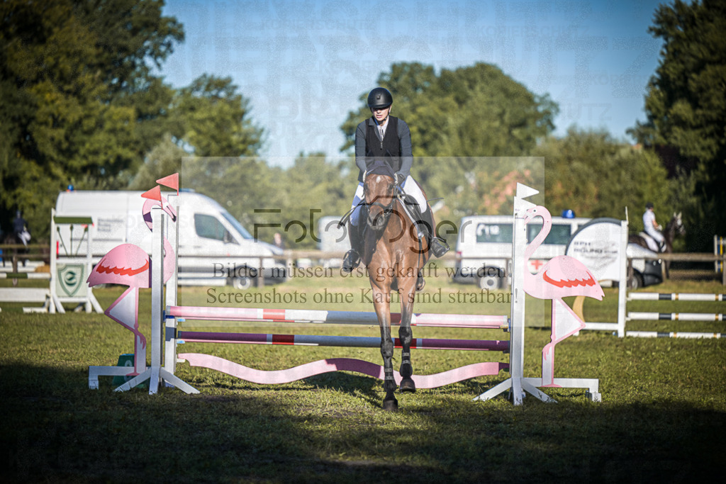 DOS_0178 | Entdecke hochwertige Reitturnierfotos von Foto Oger. Professionell, emotional und authentisch – jetzt Lieblingsmomente im Shop bestellen.Deutschlandweite Turnierfotografie. - Realisiert mit Pictrs.com