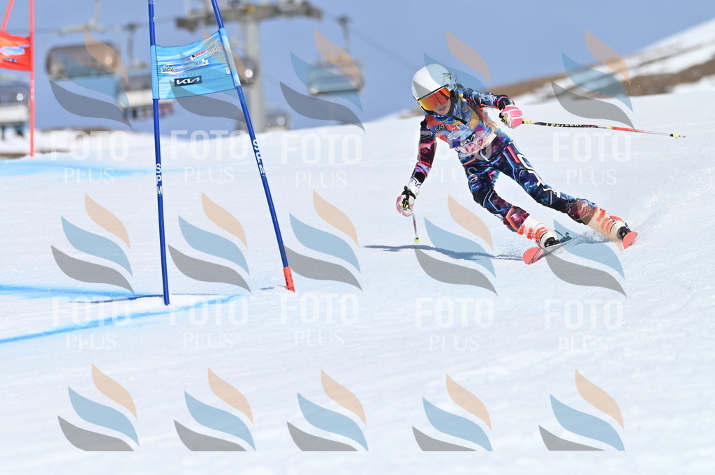 BGV_9898 | holidayphoto