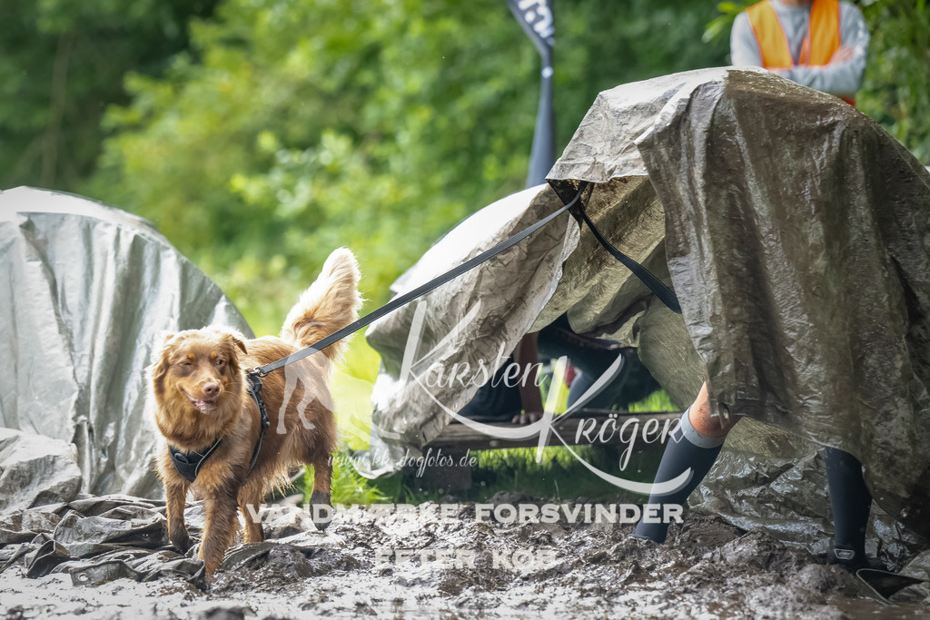 0911_ZZ90352-Bearbeitet | kk-dogfotos
