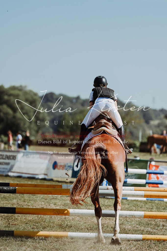 DSC_9531 | Pferde- und Turnierfotografie in Westsachsen. Pferdeportraits, Auftragszeichnungen und intuitive Kunst.