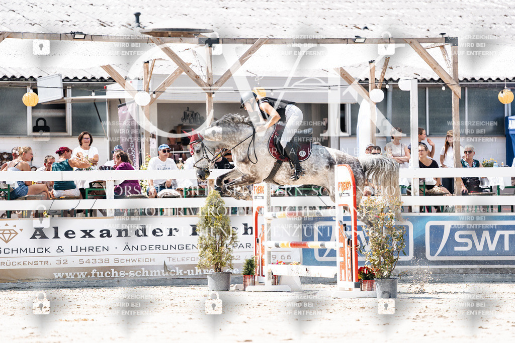 CK909690 | Turnierfotografie Pferdefotografie Trier Rheinland-Pfalz Pferdesport Reitsport Tierfotografie Sportfotografie Pferdevideo Pferdevideografie Equestrianvideography equestrianphotography  - Realisiert mit Pictrs.com