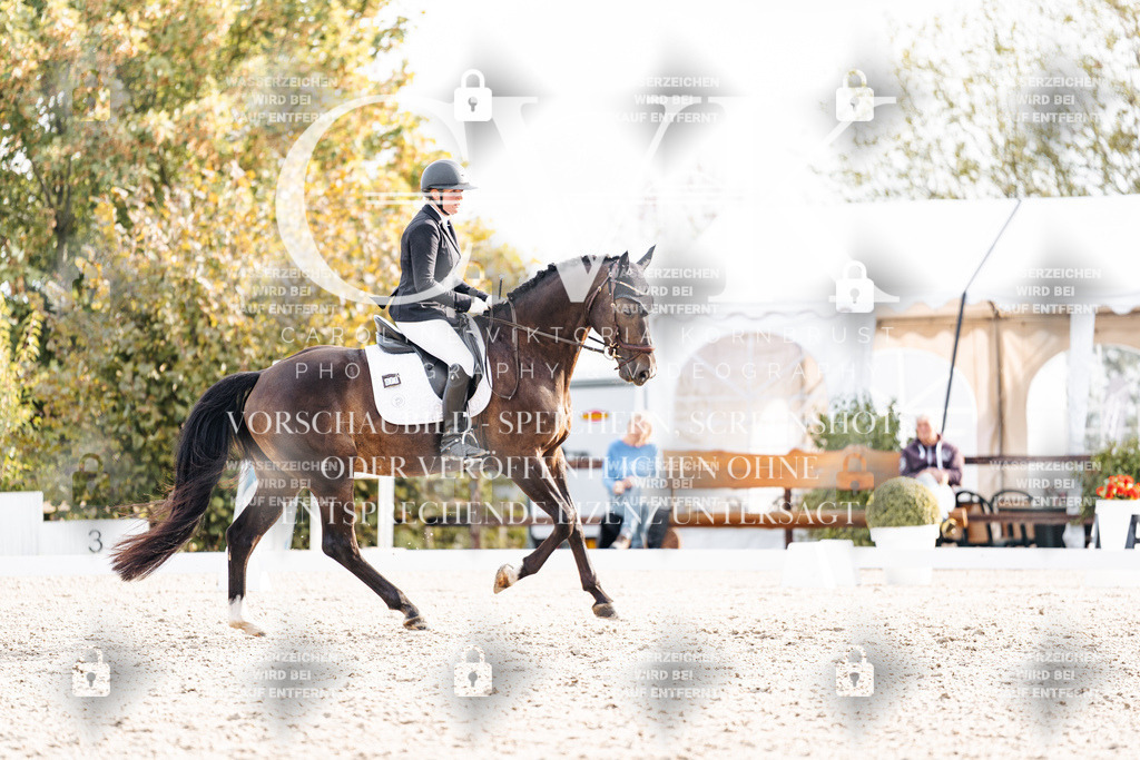 CK901214 | Turnierfotografie Pferdefotografie Trier Rheinland-Pfalz Pferdesport Reitsport Tierfotografie Sportfotografie Pferdevideo Pferdevideografie Equestrianvideography equestrianphotography  - Realisiert mit Pictrs.com
