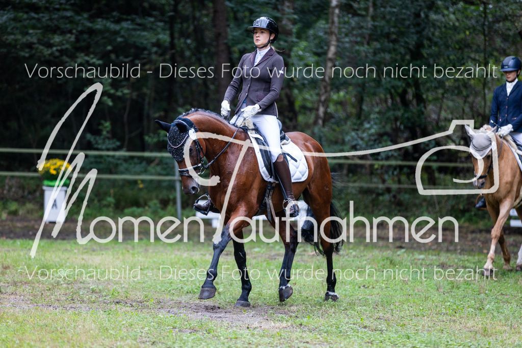 HB-A-Dressur-011 | MomenTaufnahmen Pferdesportfotos