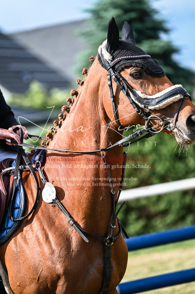 DSC_7819 | Pferde- und Turnierfotografie in Westsachsen. Pferdeportraits, Auftragszeichnungen und intuitive Kunst.