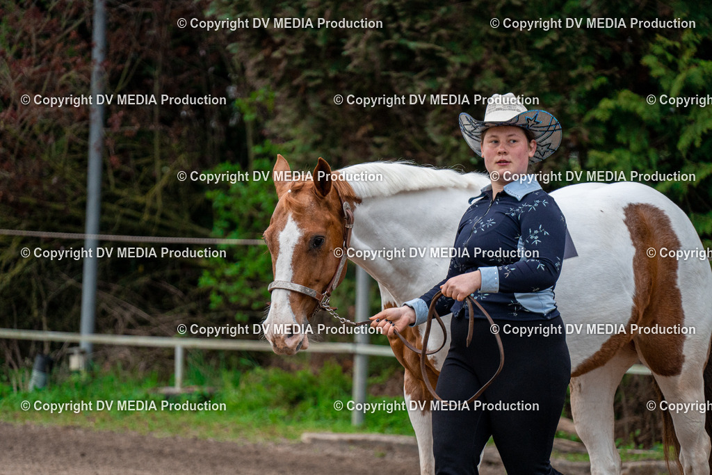 BA300010 | dv-media-shop - Realisiert mit Pictrs.com