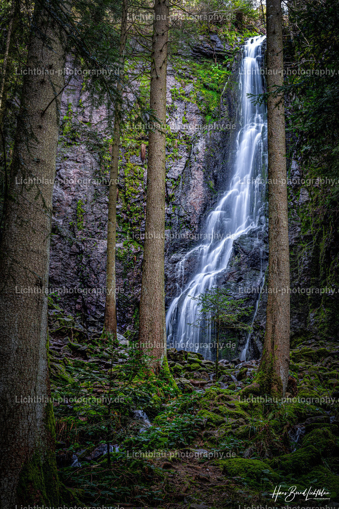 DSC06487-2-Bearbeitet | Hans-Bernd Lichtblau Photography. Finden Sie wunderschöne Fotografien aus Landschaft und Natur.  - Realisiert mit Pictrs.com