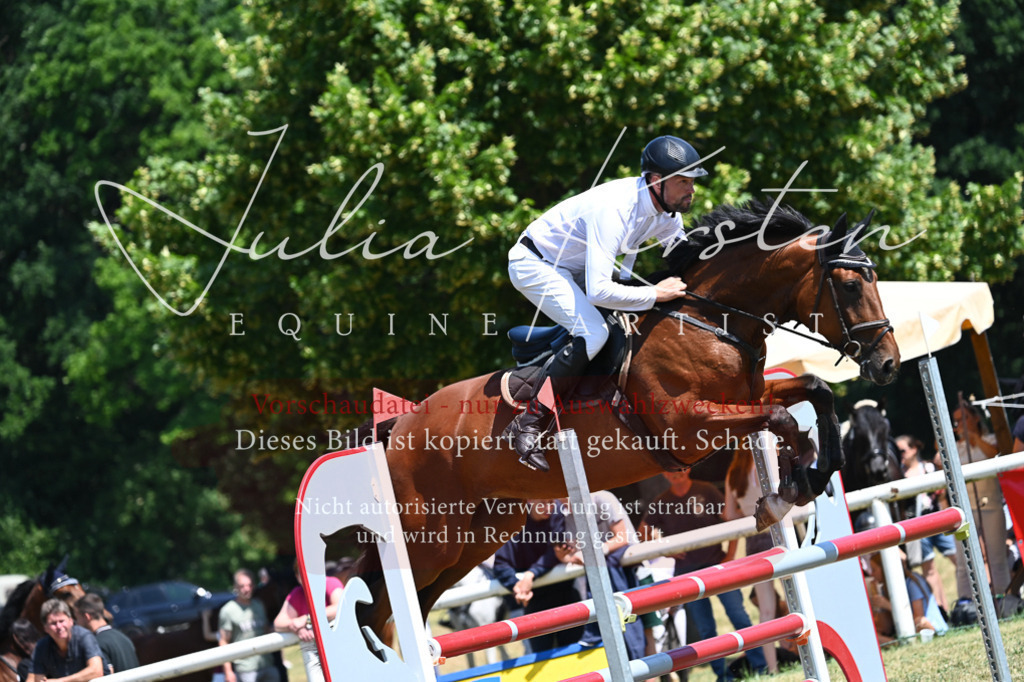 DSC_0592 | Pferde- und Turnierfotografie in Westsachsen. Pferdeportraits, Auftragszeichnungen und intuitive Kunst.