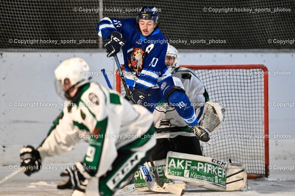 EC Ice Tigers Paternion vs. DSG Ledenitzen Faakersee 14.1.2024 | #10 Ortner Philipp