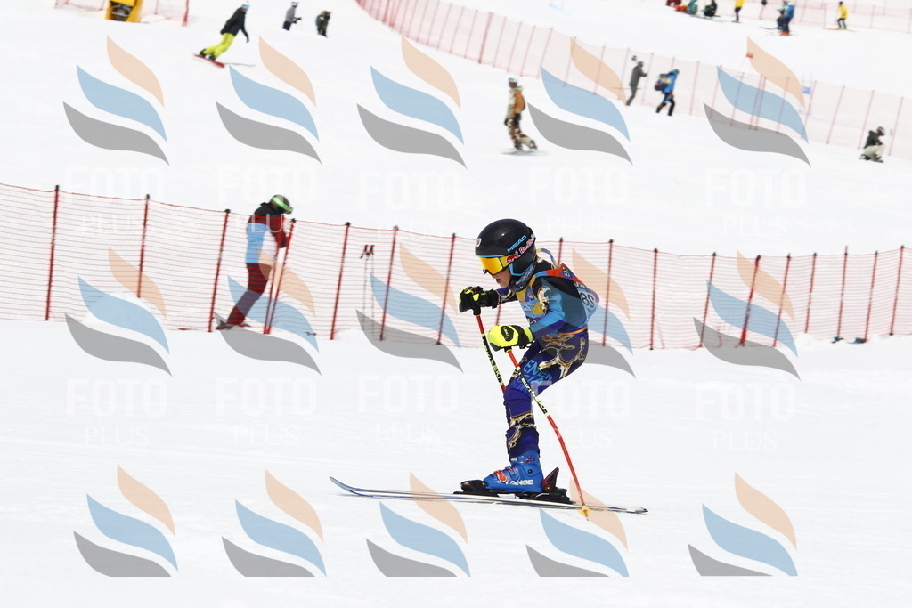 _U3G7103 | holidayphoto