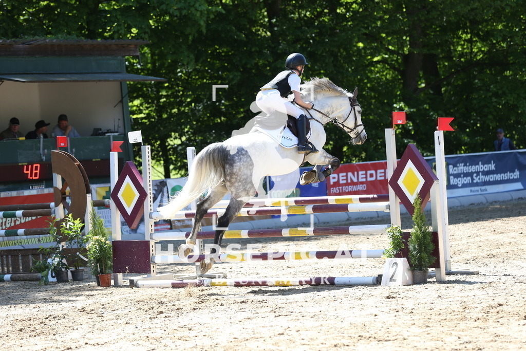 DL2Q1835 | Willkommen bei Brunnmayr - Design & Fotografie – Ihrem Spezialisten für Reitturniere und Pferdeveranstaltungen in Oberösterreich, Salzburg und Bayern! Seit über 17 Jahren sind wir leidenschaftlich dabei.